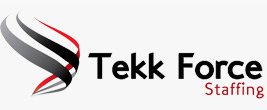 Tekk Force Staffing
